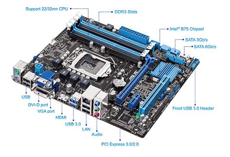 b75m-plus|asus b75m plus.